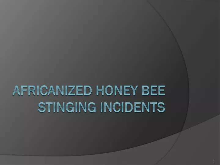 africanized honey bee stinging incidents