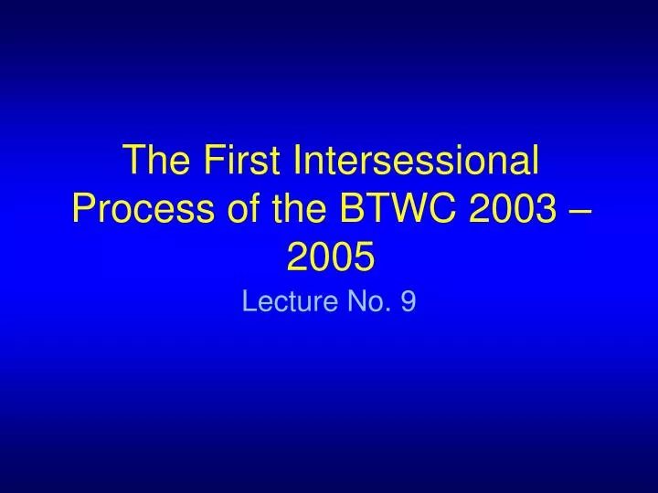 the first intersessional process of the btwc 2003 2005
