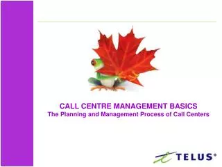 CALL CENTRE MANAGEMENT BASICS The Planning and Management Process of Call Centers