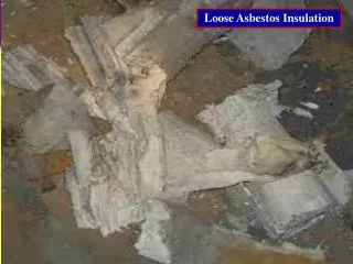 Loose Asbestos Insulation