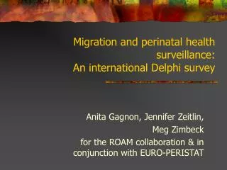 Migration and perinatal health surveillance: An international Delphi survey
