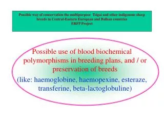 Possible use of blood biochemical polymorphisms in breeding plans, and / or preservation of breeds