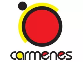 The CARMENES Consortium
