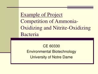 Example of Project Competition of Ammonia-Oxidizing and Nitrite-Oxidizing Bacteria
