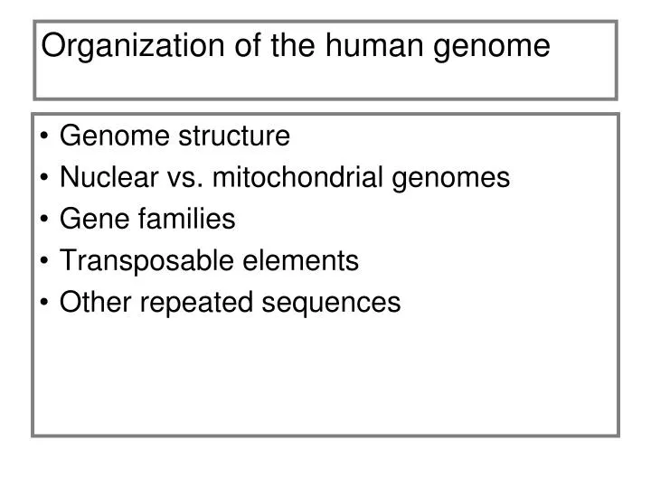 organization of the human genome