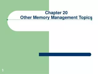 Chapter 20 Other Memory Management Topics