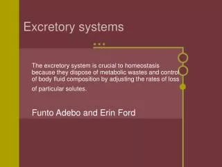 Excretory systems