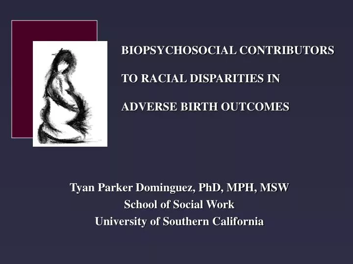 tyan parker dominguez phd mph msw school of social work university of southern california