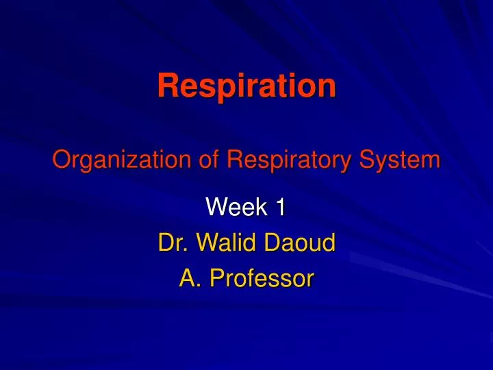 respiration organization of respiratory system
