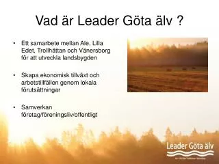 vad r leader g ta lv