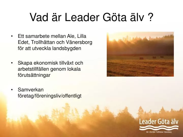 vad r leader g ta lv