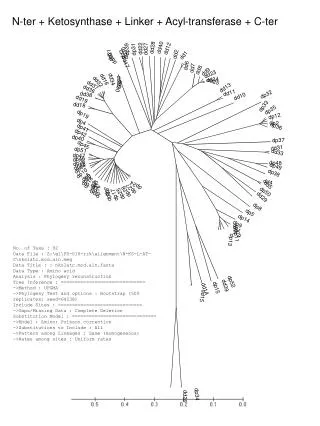 No. of Taxa : 92 Data File : Z:\gl\PS-016-rrk\alignment\N-KS-L-AT-C\nkslatc.mod.alng