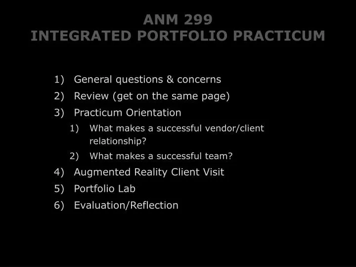 anm 299 integrated portfolio practicum