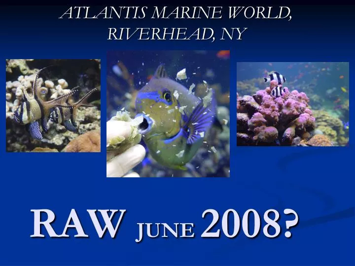 raw june 2008