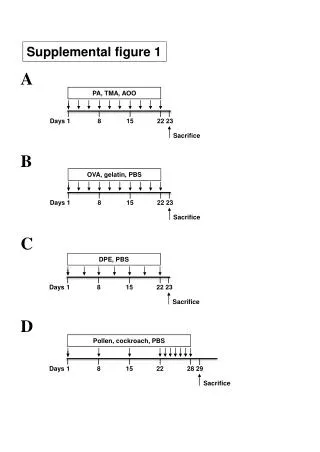 Supplemental figure 1