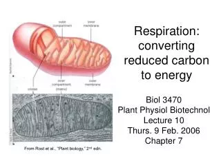 Respiration: converting reduced carbon to energy