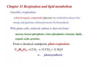 Chapter 11 Respiration and lipid metabolism (Aerobic) respiration: