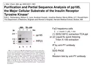J. Biol. Chem. 266, pp. 8302-8311,1991 Purification and Partial Sequence Analysis of pp185,