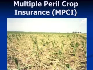 Multiple Peril Crop Insurance (MPCI)