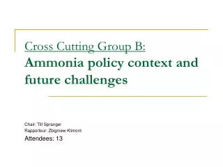 Cross Cutting Group B: Ammonia policy context and future challenges