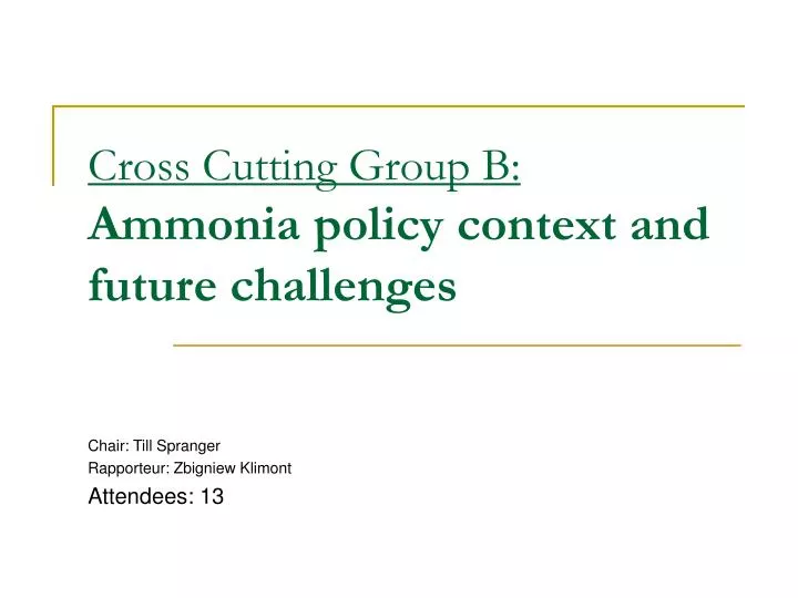 cross cutting group b ammonia policy context and future challenges