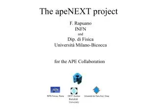 The apeNEXT project