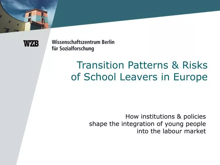 transition patterns risks of school leavers in europe