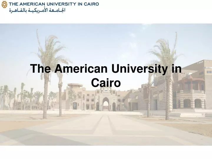 the american university in cairo