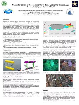 Characterization of Mesophotic Coral Reefs Using the Seabed AUV