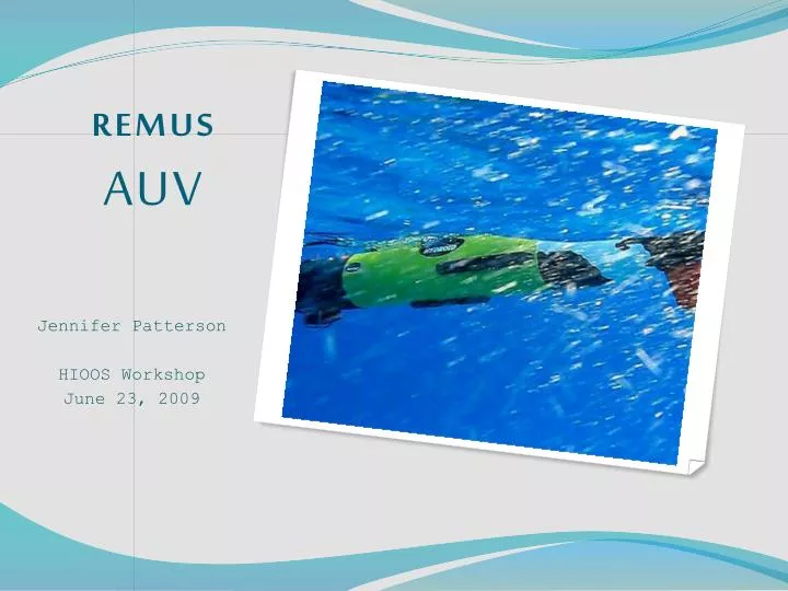 remus auv