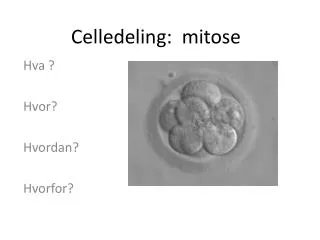 Celledeling: mitose