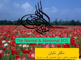 The Normal &amp; Abnormal ECG