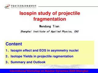 Isospin study of projectile fragmentation
