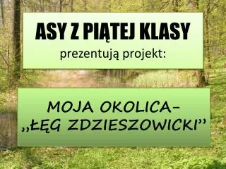 asy z pi tej klasy prezentuj projekt
