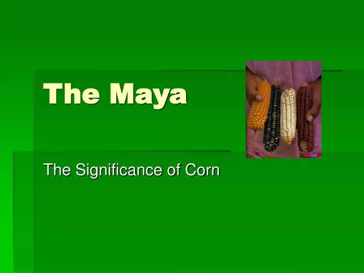 the maya