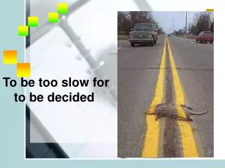 To be too slow for to be decided