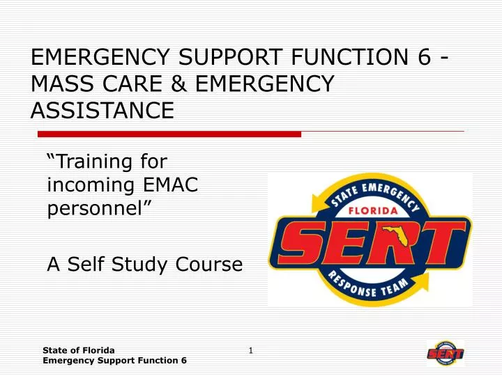 emergency support function 6 mass care emergency assistance