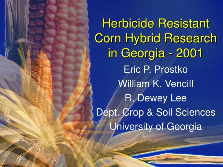 herbicide resistant corn hybrid research in georgia 2001