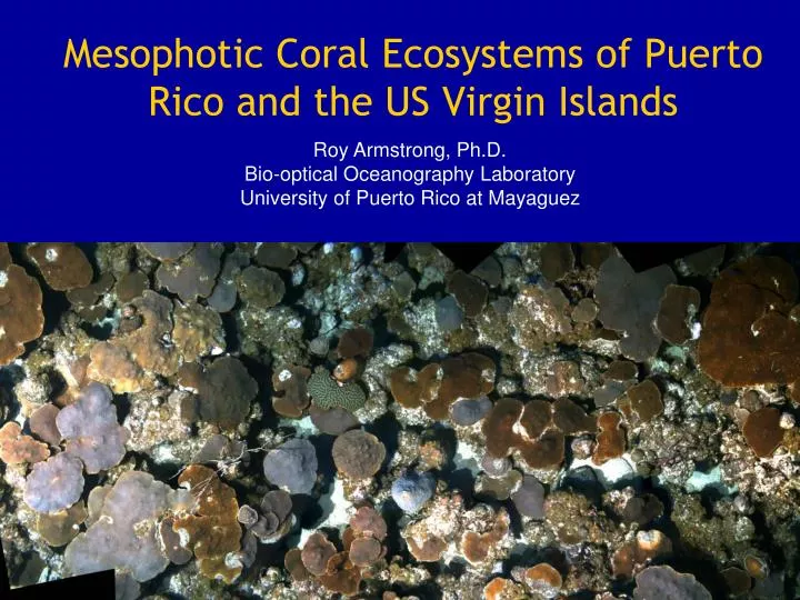 mesophotic coral ecosystems of puerto rico and the us virgin islands