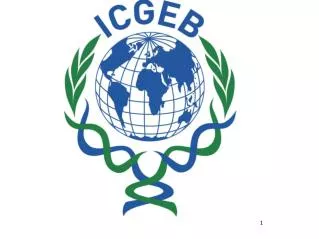 International Centre for Genetic Engineering and Biotechnology (ICGEB)