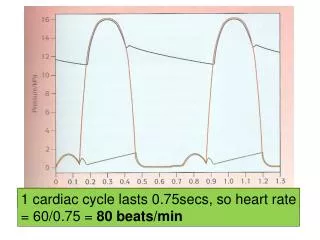 Qu.1. How long is each heart beat?