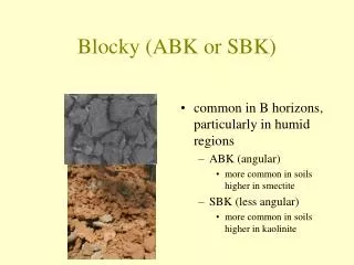 Blocky (ABK or SBK)