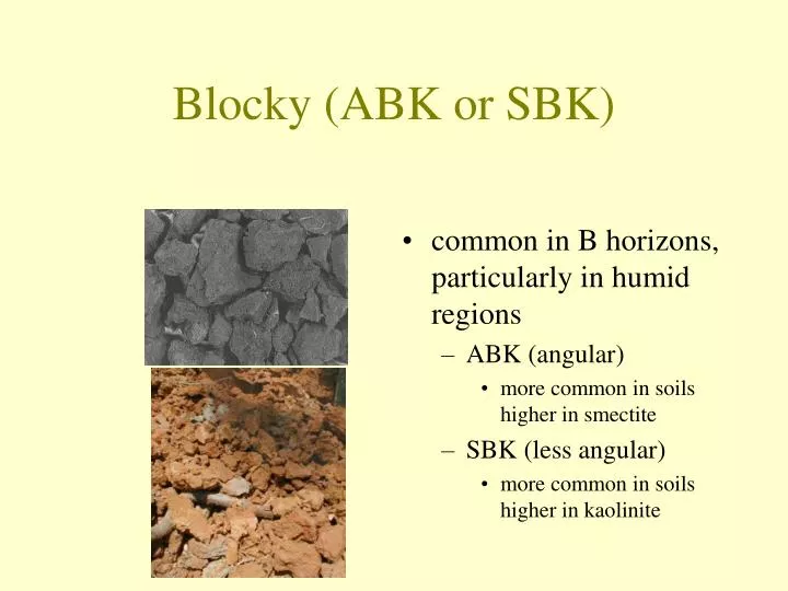 blocky abk or sbk