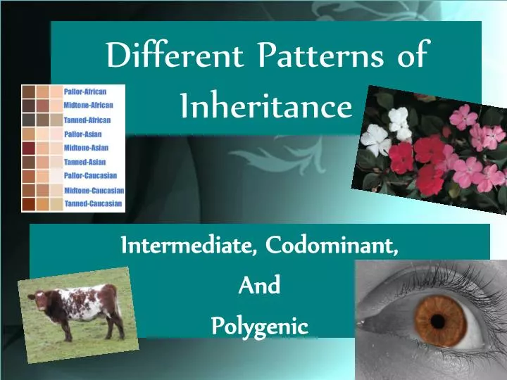different patterns of inheritance