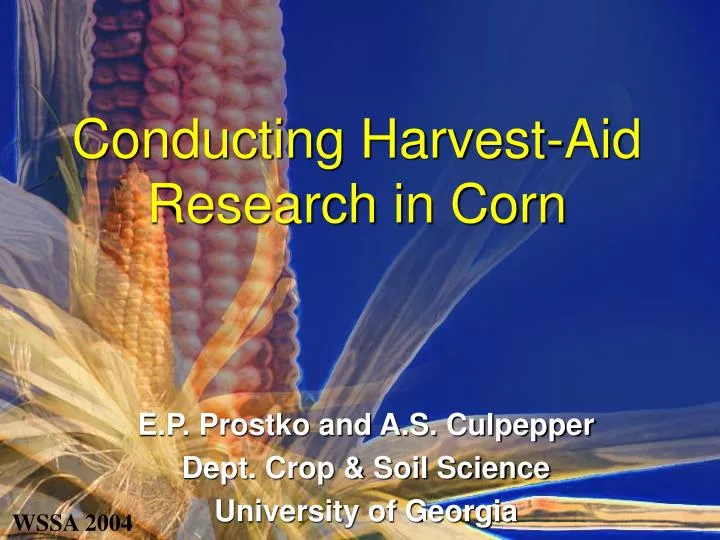 conducting harvest aid research in corn