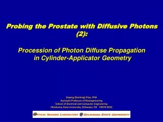 Probing the Prostate with Diffusive Photons (2):