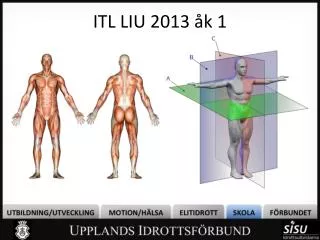 itl liu 2013 k 1
