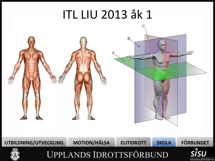 itl liu 2013 k 1