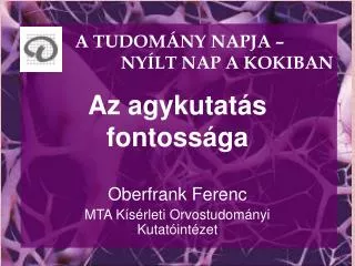 az agykutat s fontoss ga