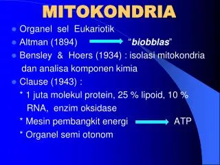 mitokondria